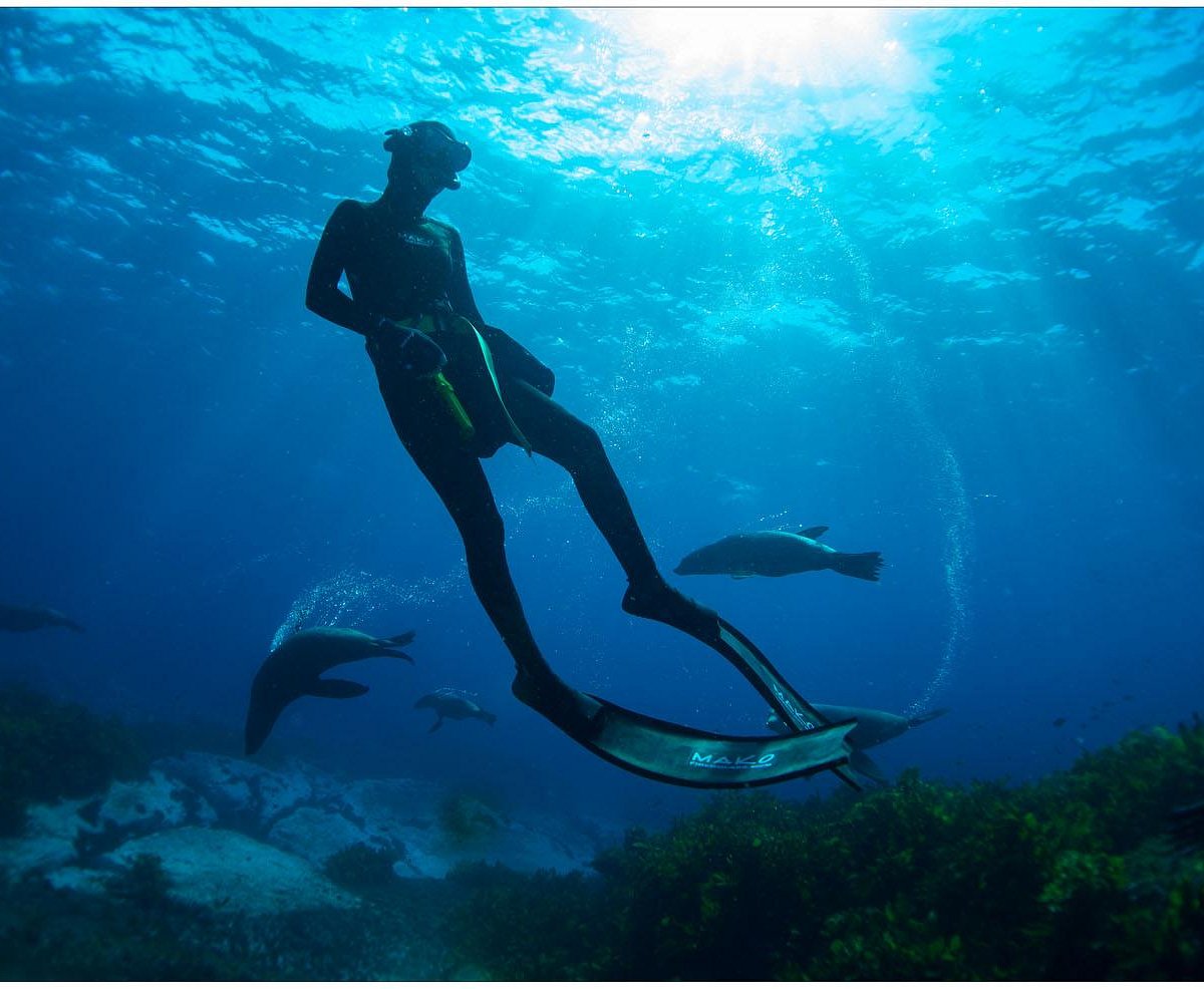 underwater safaris narooma