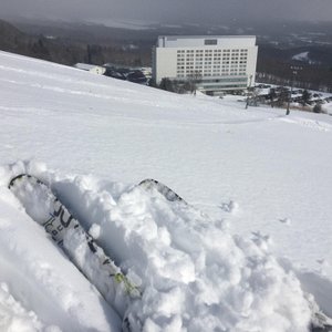 21年 フラワー ガーデン森の風 行く前に 見どころをチェック トリップアドバイザー 21年 フラワー ガーデン森の風 行く前に 見どころをチェック トリップアドバイザー