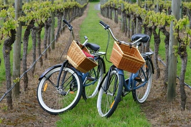 East End Bike Tours (2025) All You Need to Know BEFORE You Go (w/ Trusted  Reviews)