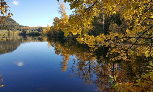 Semsvannet