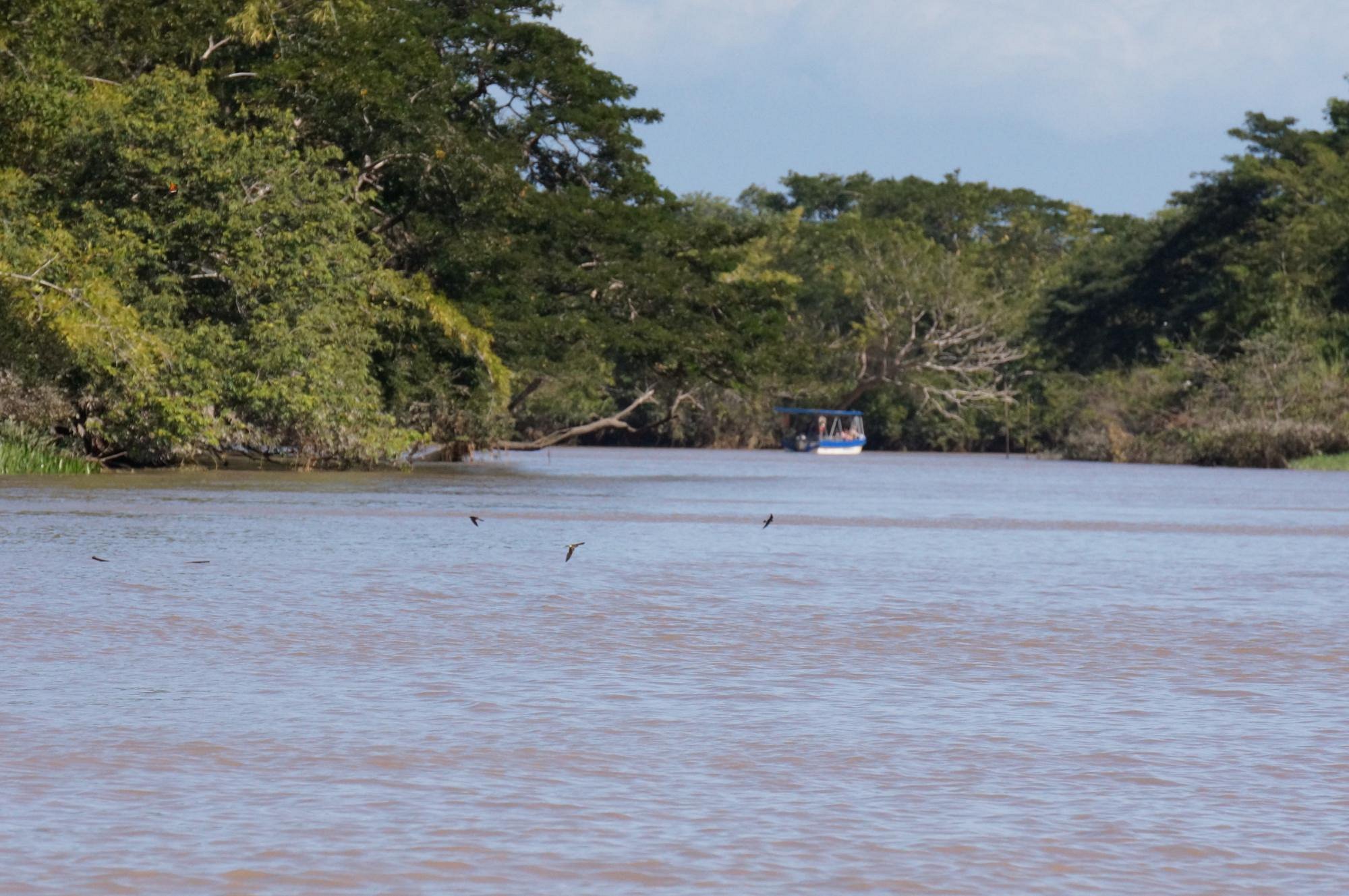 papagayo vargas tours