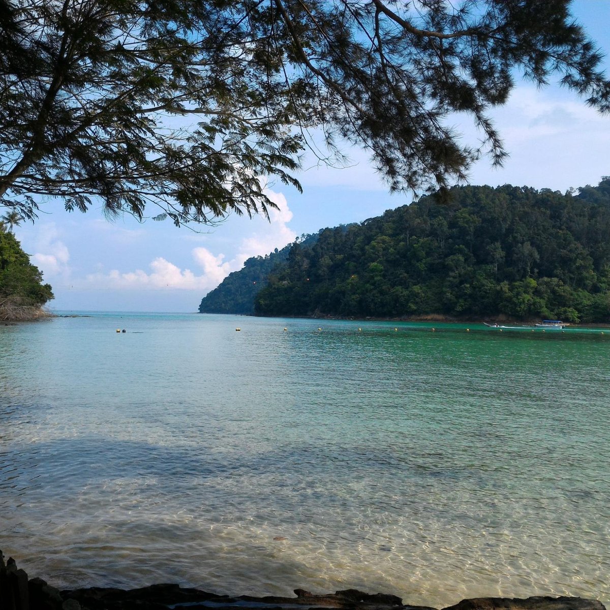 Pulau sapi kota kinabalu