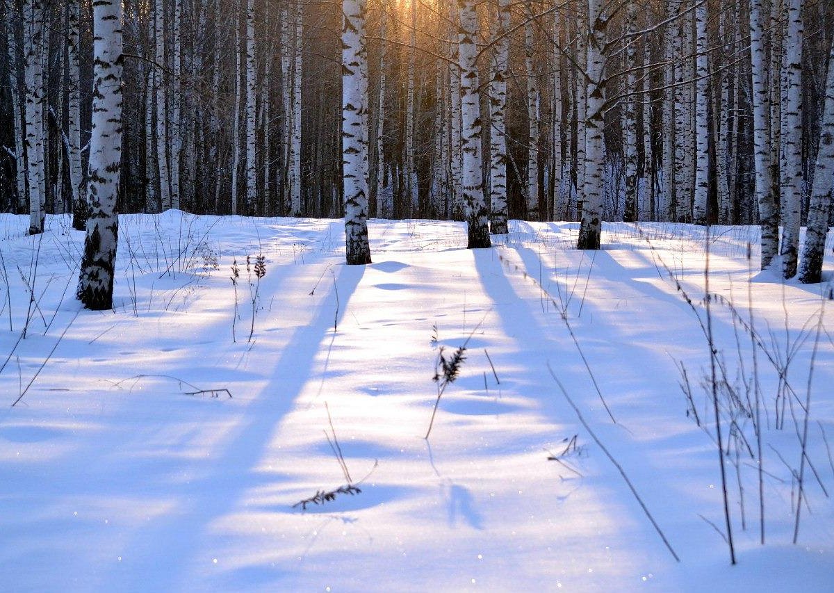 Дендрологический парк, Киров: лучшие советы перед посещением - Tripadvisor