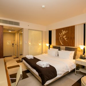 The Standard Room at the Crowne Plaza St. Petersburg - Ligovsky