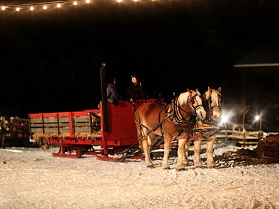 The most expensive tourist trap in B.C. - Review of Log Barn 1912,  Armstrong, British Columbia - Tripadvisor