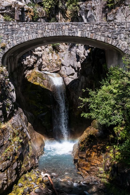 Mount Rainier National Park Steve5863 review images