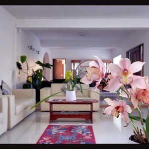 Common room for guest