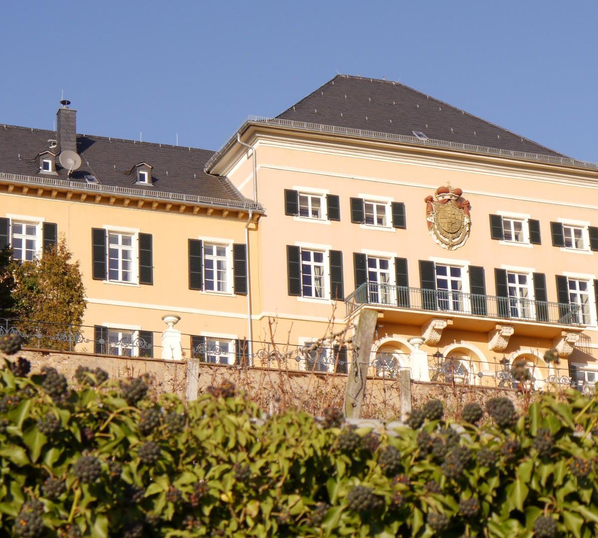 Schloss Johannisberg (Geisenheim) All You Need to Know