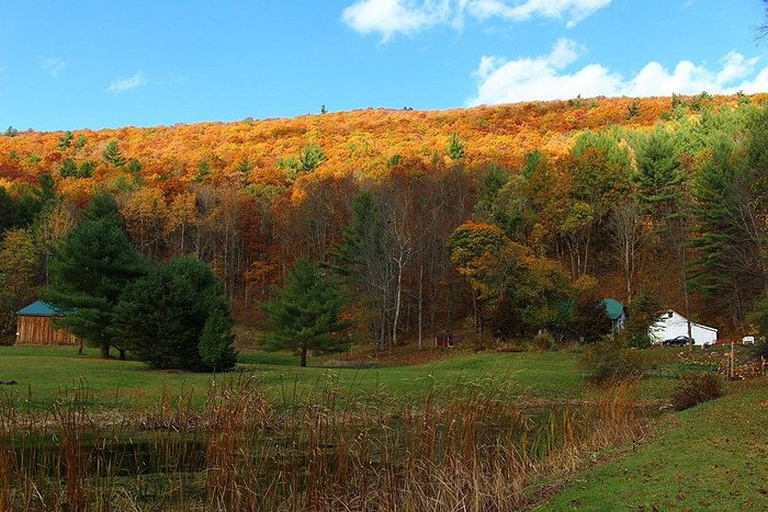 WATTLES INN: Bewertungen, Fotos & Preisvergleich (Middleburgh, NY