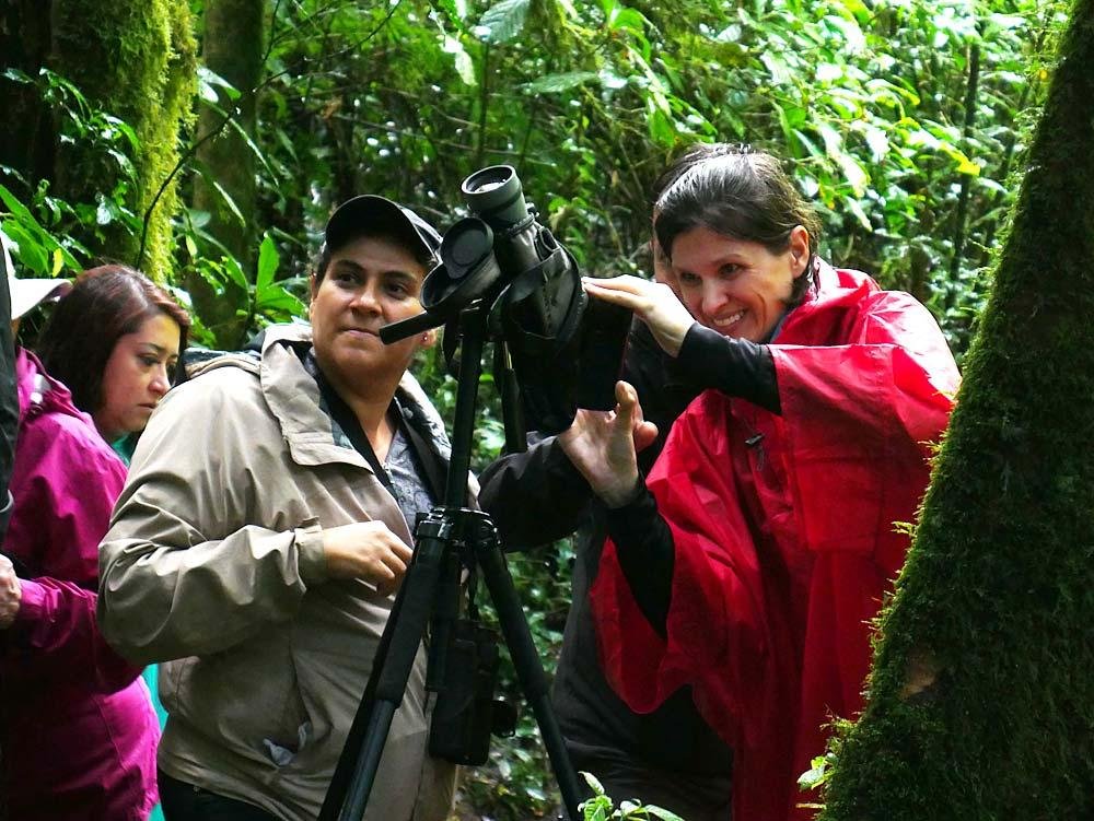 Monteverde Morning Walk (Monteverde Cloud Forest Reserve) - All You ...