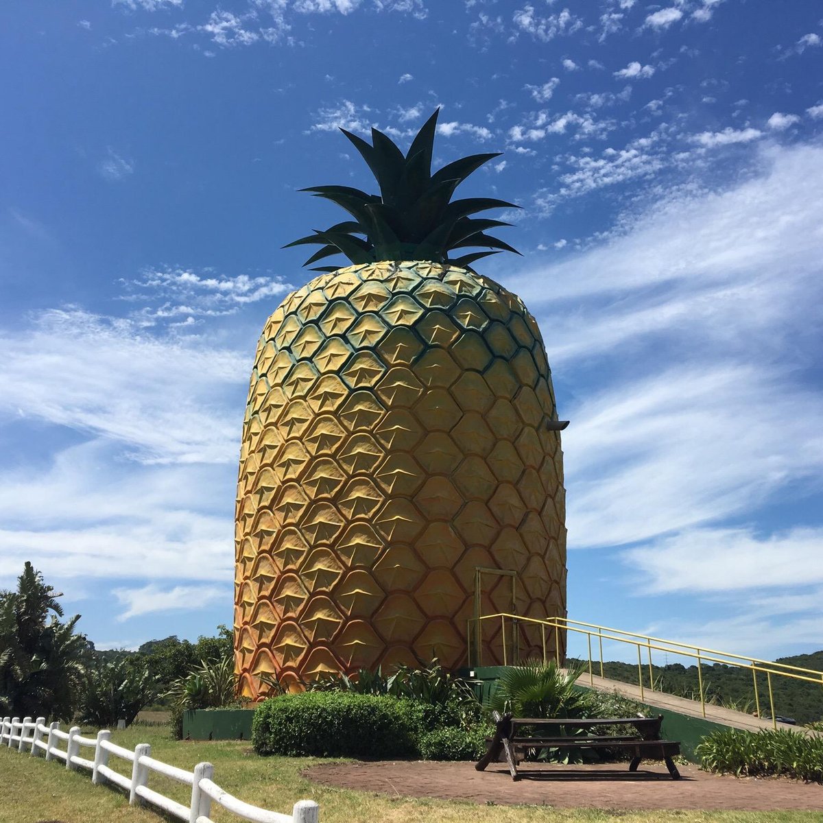 the-big-pineapple-bathurst-ce-qu-il-faut-savoir-pour-votre-visite