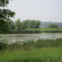 Lake Elmo Park Reserve - All You Need to Know BEFORE You Go