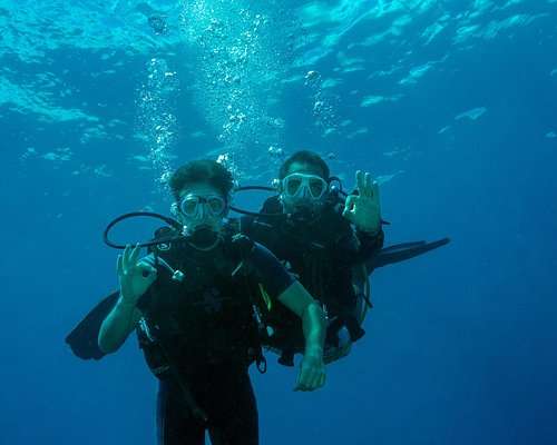 Plongeon sous la mer - Mémoires d'Océans