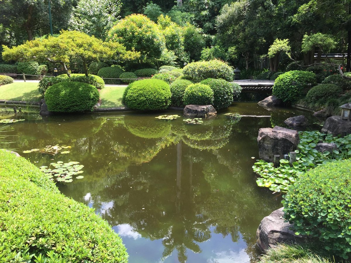 Can You Buy Plants at the Brisbane Botanic Gardens? A Guide to Green Treasures