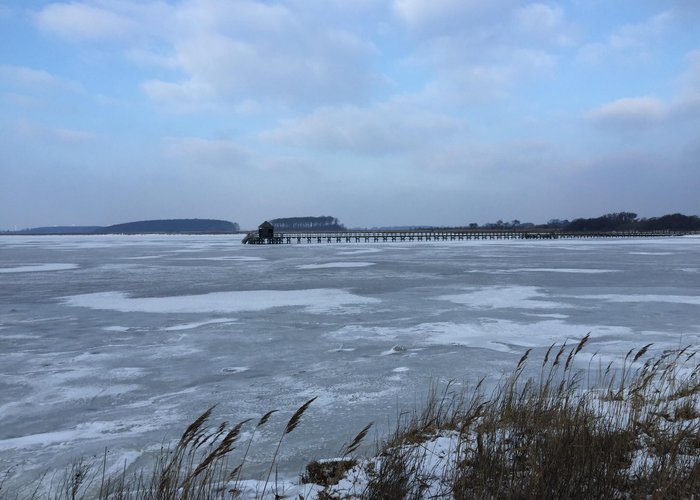 Hestehovedets Lystbaadehavn