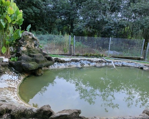 The Best Farm Stays In Alor Gajah Of 21 With Prices Tripadvisor The Best Farm Stays In Alor Gajah Of 21 With Prices Tripadvisor