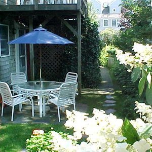 Room #7 garden