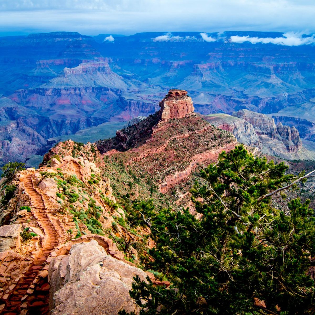 South Kaibab Trail, Национальный парк Гранд-Каньон: лучшие советы перед  посещением - Tripadvisor