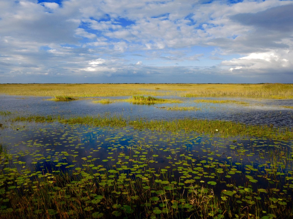 EVERGLADES RIVER OF GRASS ADVENTURES (Miami) - All You Need to Know ...