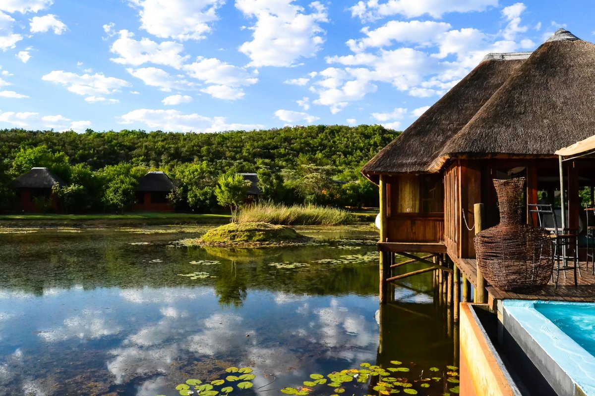 INTUNDLA GAME LODGE & BUSH SPA (Претория) - отзывы и фото - Tripadvisor