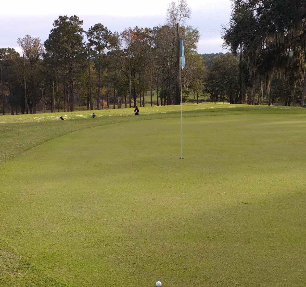 HILAMAN PARK MUNICIPAL GOLF COURSE (Tallahassee) All You Need to Know