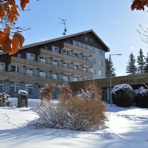 Hotel Srni in Srni, image may contain: Neighborhood, Villa, Tree, Nature