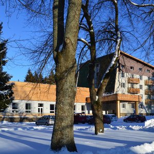 Hotel Srni in Srni, image may contain: Neighborhood, Villa, Tree, Nature