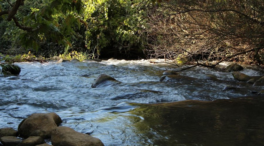 let the river flow