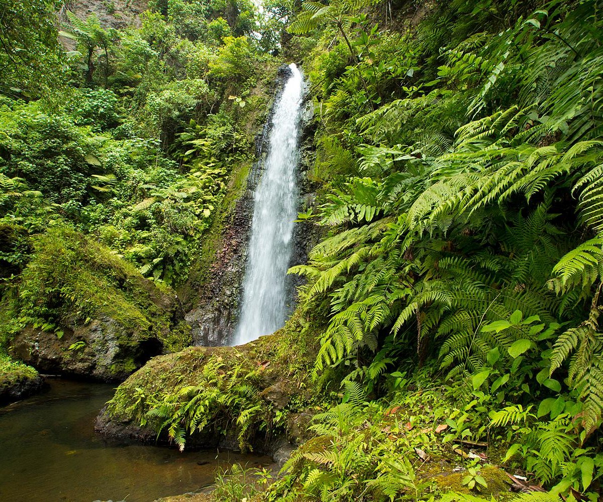 Lenuanatuaiu Waterfall (Tanna Island): All You Need to Know