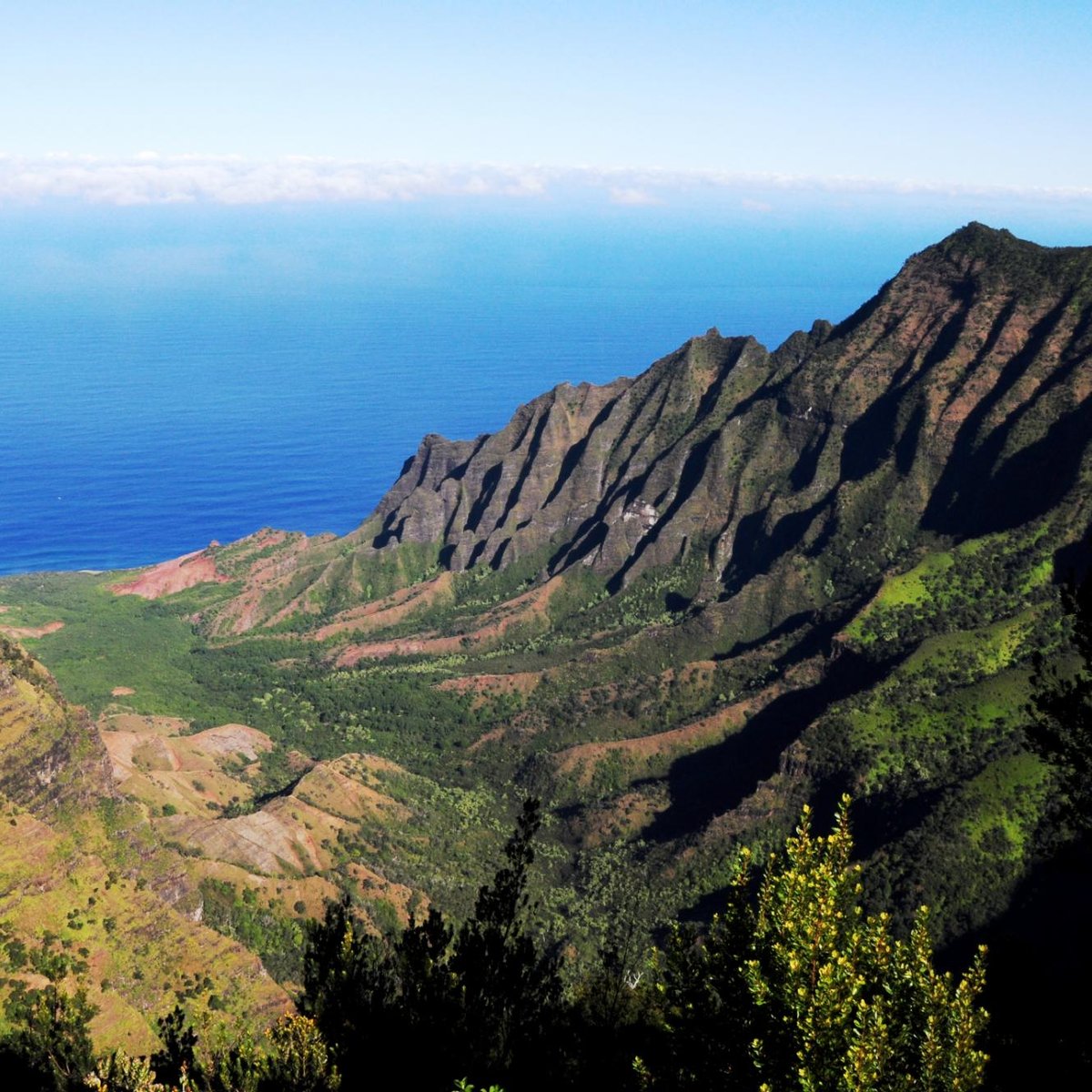 Alakai Swamp Trail (Kauai) - All You Need to Know BEFORE You Go