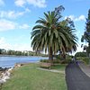 Things To Do in Blaxland Riverside Park, Restaurants in Blaxland Riverside Park