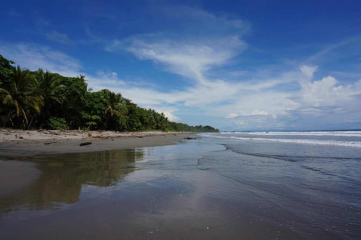 Nicoya Surf & SUP (Cabuya) - All You Need to Know BEFORE You Go