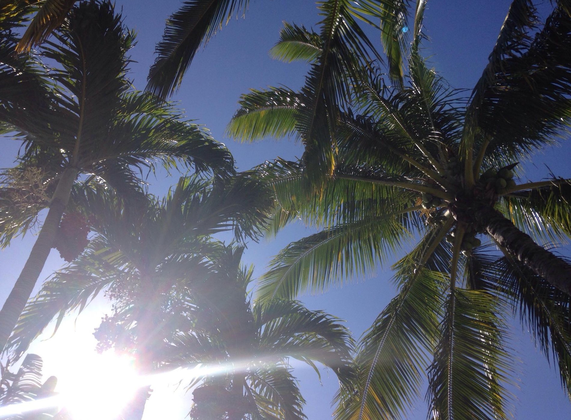 Hostelling International - Honolulu by null