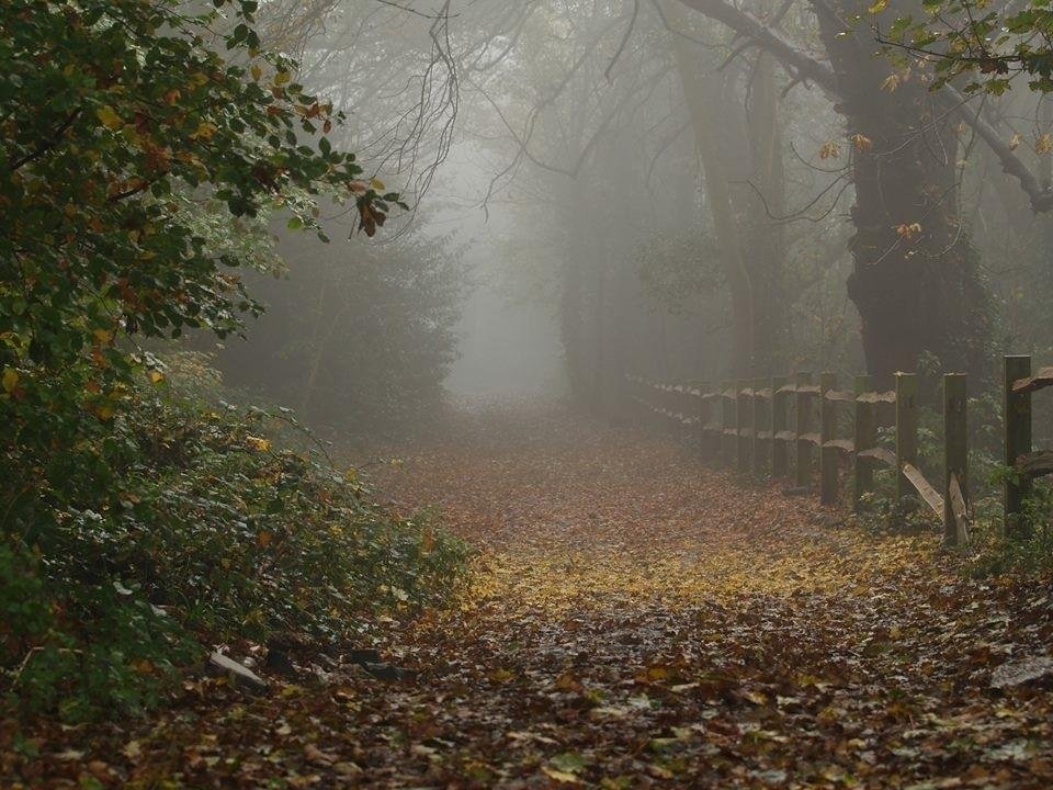 St Helens Park - All You Need To Know Before You Go (2024)