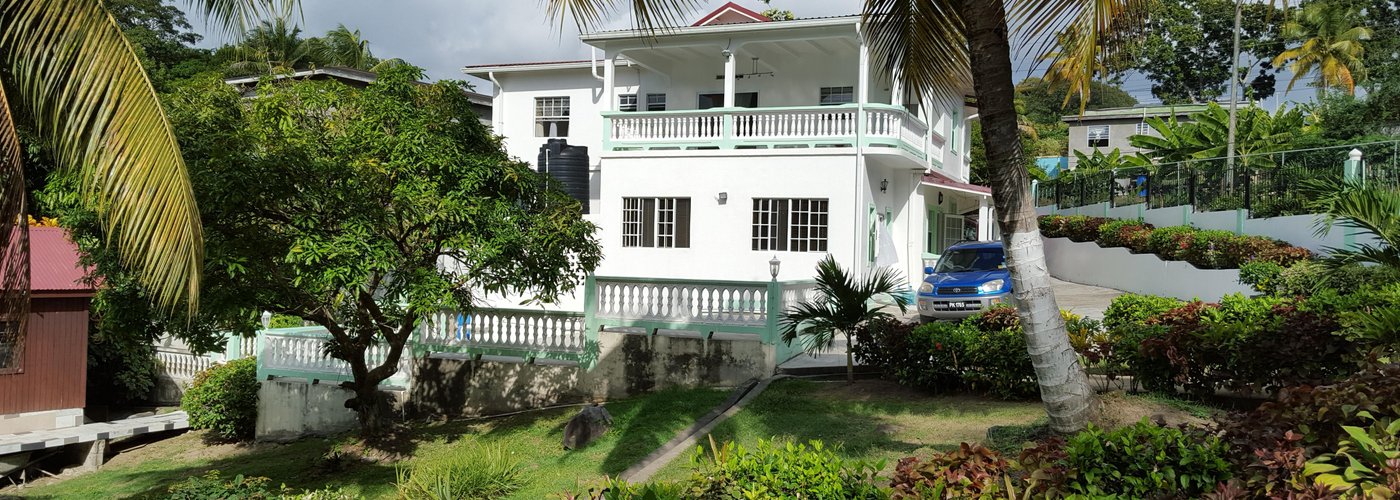 view from the garden