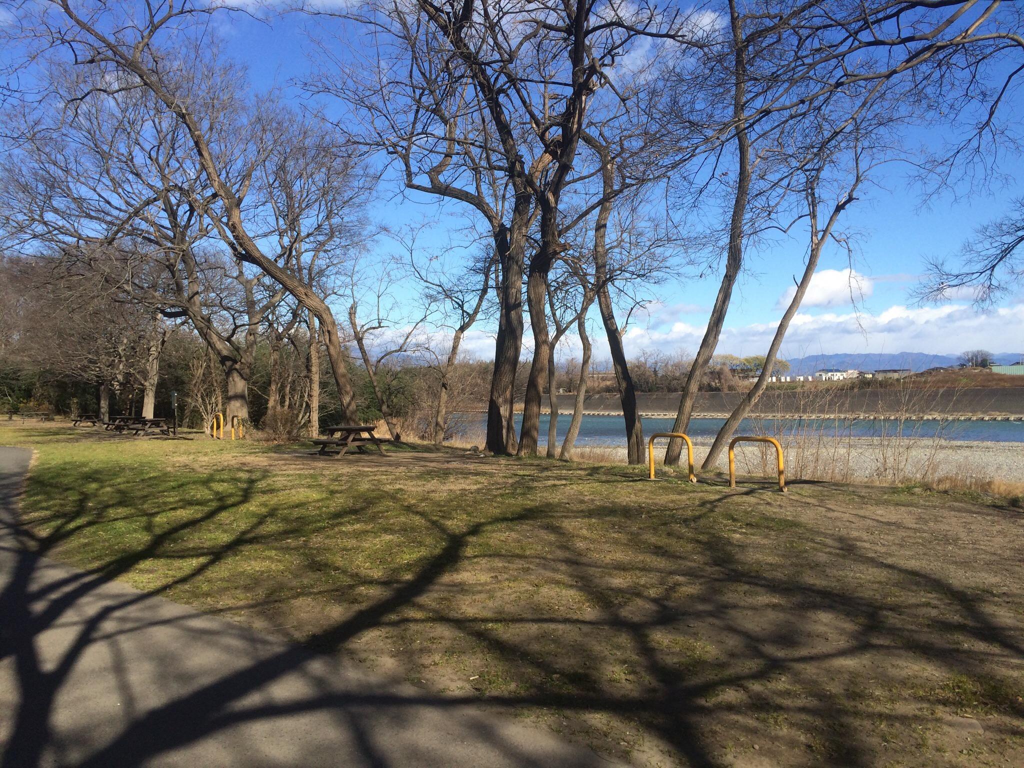 東部スポーツパーク 安い 公園 ペット