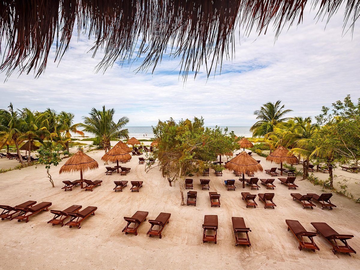 The 10 Best Hotels In Holbox Island For 2022 From 44 Tripadvisor 