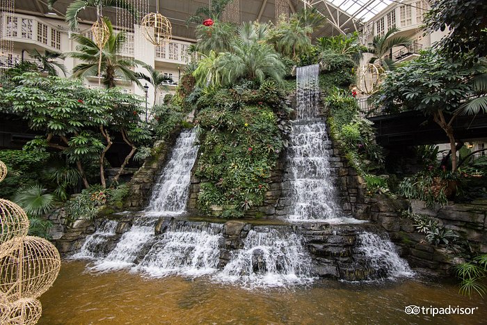 The Falls at the Gaylord Opryland Resort & Convention Center