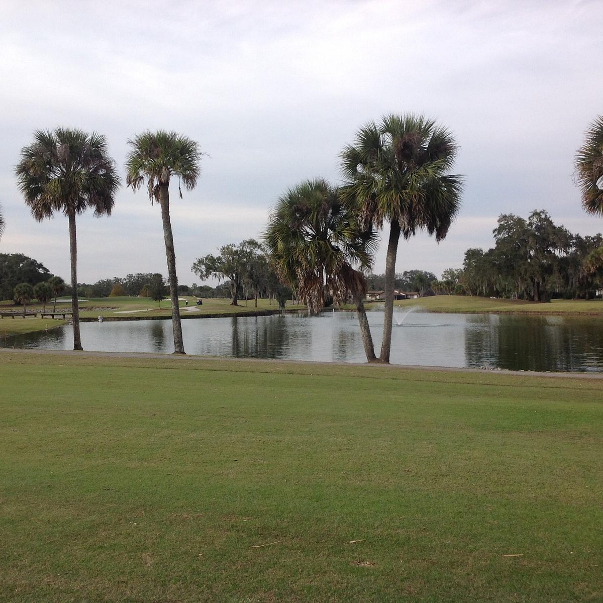 Bent Tree Golf and Country Club (Sarasota) Lohnt es sich? (Mit fotos)