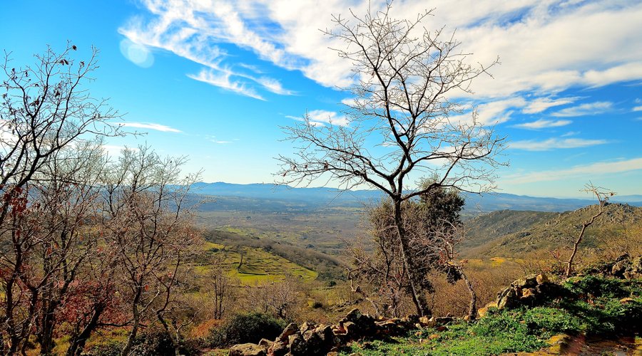 Vistas desde la alberca