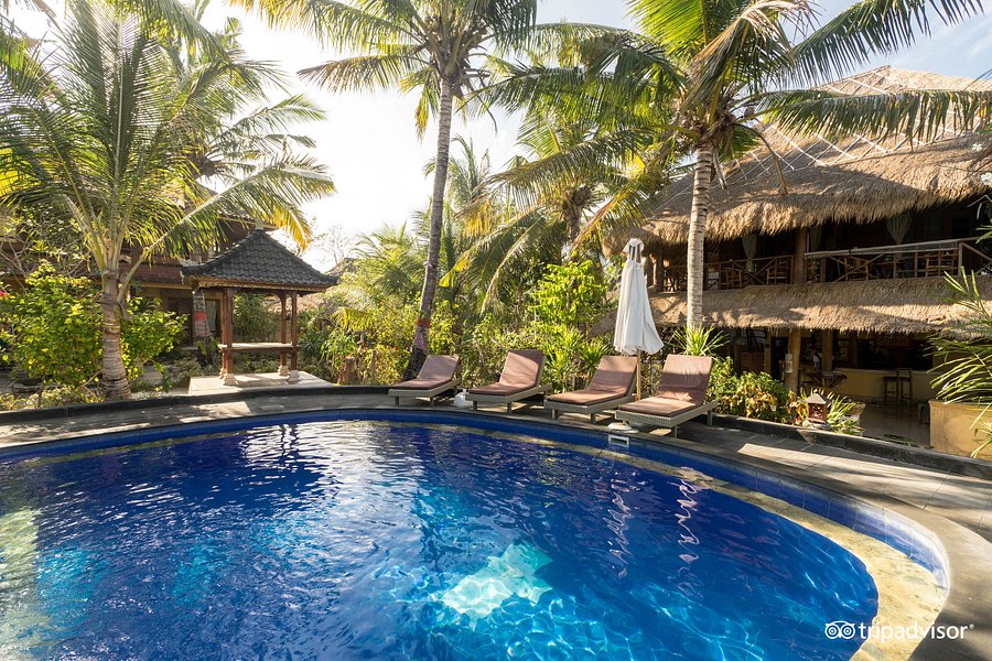 Mushroom Beach Bungalows UPDATED 2022 Prices Reviews Mushroom Beach Bungalows UPDATED 2022 Prices Reviews