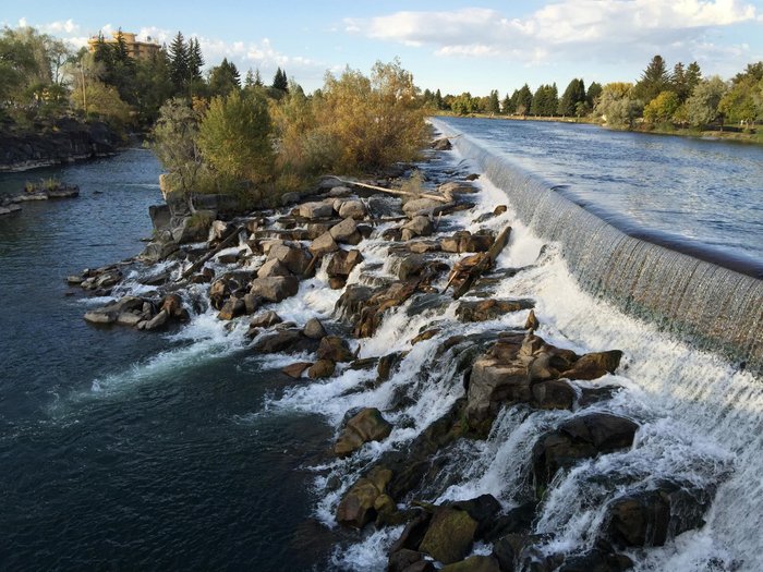 Residence Inn by Marriott Idaho Falls Pool: Pictures & Reviews ...