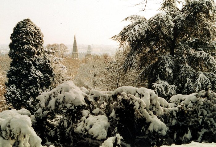 Stadtpark Aachen im Winter
