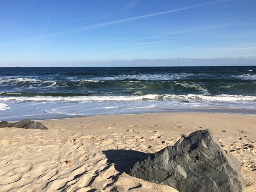 The mystery of Jersey Shore shells, rocks and other things you find on N.J.  beaches 