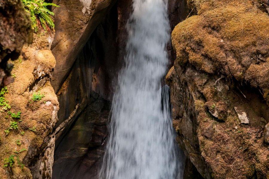 Ladder Creek Falls image