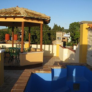 The roof terrace