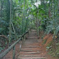Caminho do Ouro