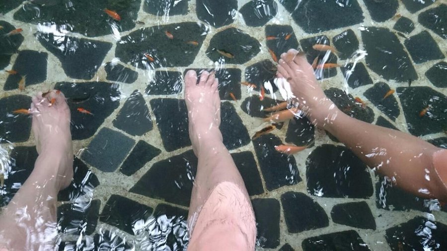 Hotspring Hotel