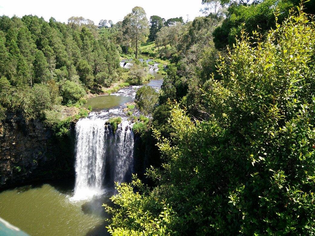 are dogs allowed at dangar falls