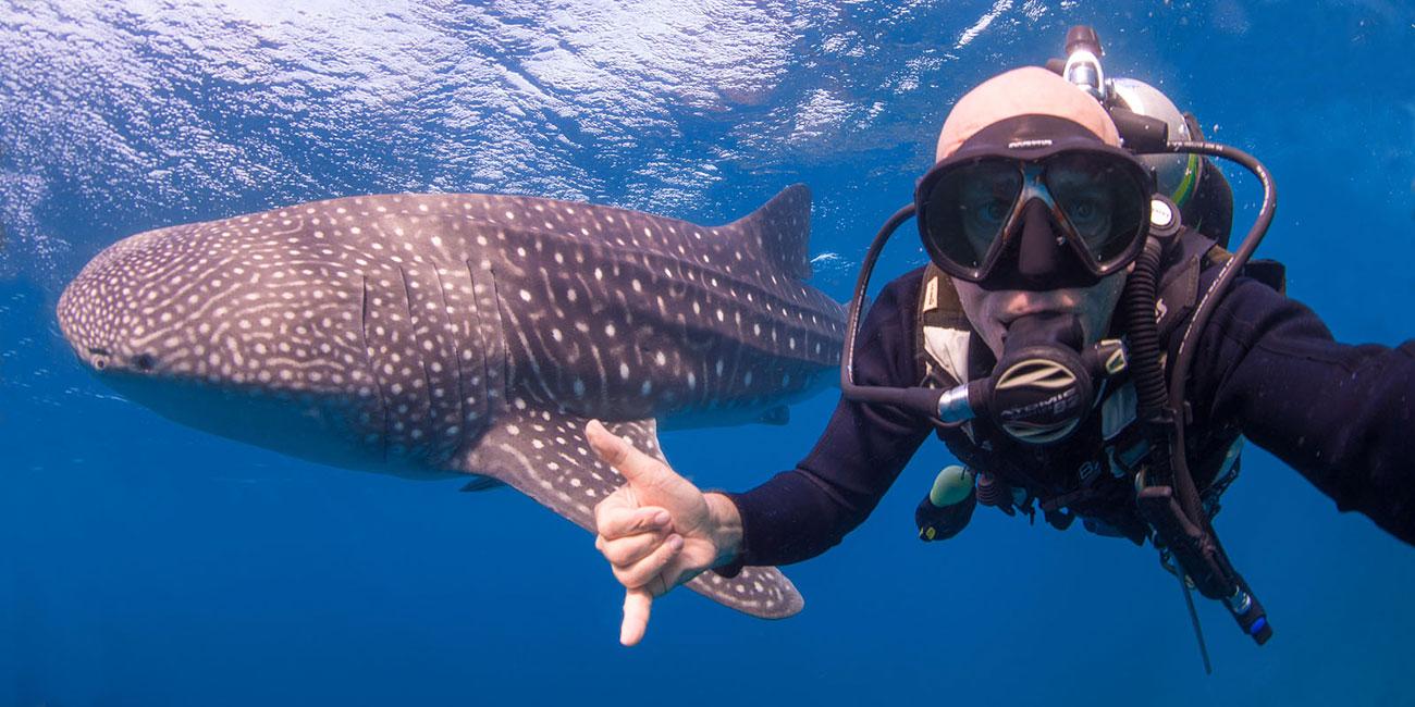 Adventures In Borneo With Downbelow Marine & Wildlife - 코타키나발루 ...